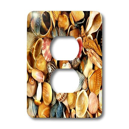 3dRose LLC lsp_100732_6 Collection of Seashells From All Over 2 Plug Outlet Cover
