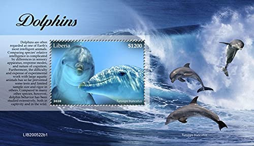 Liberia - 2020 Bottlenose Dolphins - Stamp Souvenir Sheet - LIB200522b1 Liberia - 2020 Bottlenose Dolphins - Stamp Souvenir Sheet - LIB200522b1