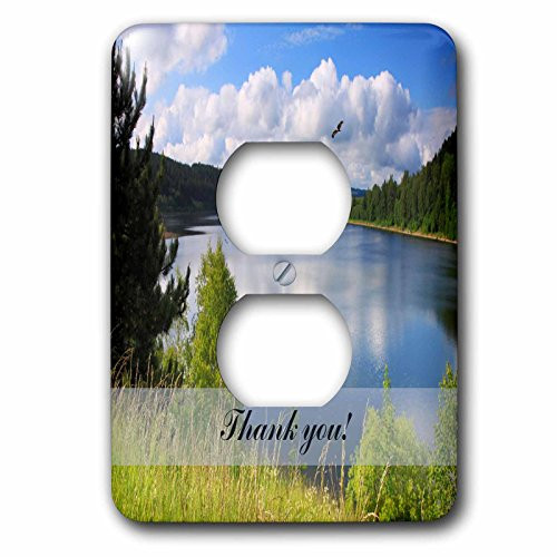 3dRose lsp_174060_6 Mountain Lake Landscape With Eagle Flying In The Clouds, Thank You Outlet Cover