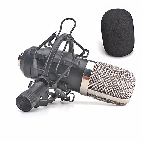 ZRAMO Large Diagram Condenser Mics Recording Microphone Studio Professional mic for Computer PC Use, Best Recording Studio Equipment for Recording with Mic Shock Mount Clip -TH901-
