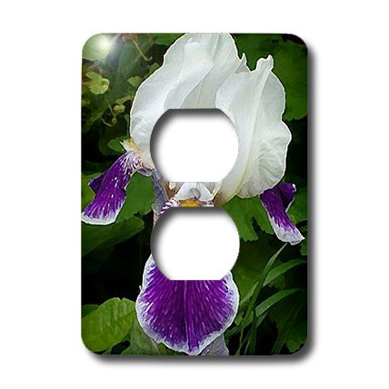 3dRose lsp_4120_6 Purple Iris 2 Plug Outlet Cover