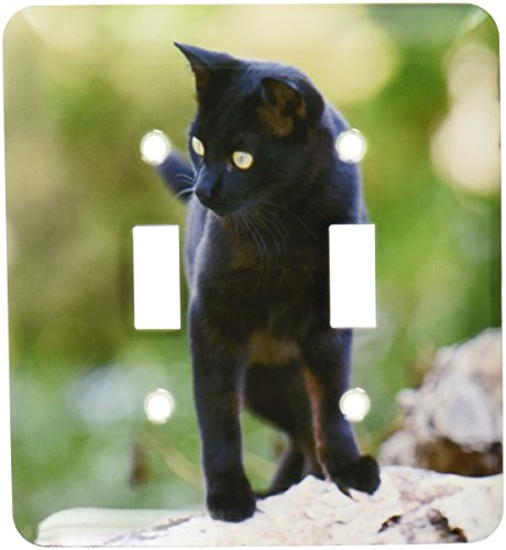 3dRose LLC lsp_47154_2 Black Cat in Nature Standing On The Wood Double Toggle Switch