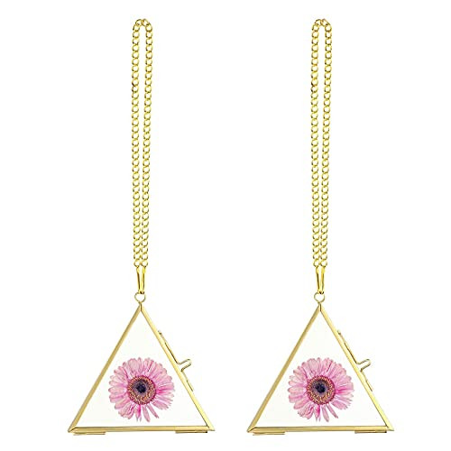 JuxYes Set of 2 Triangle Hanging Pressed Flowers Frame Wall Photo Frame, Golden Glass Hanging Picture Artwork Display Frame, Double Glass Floating Frame Style Gallery Wall Frame for Photo Picture Poster etc