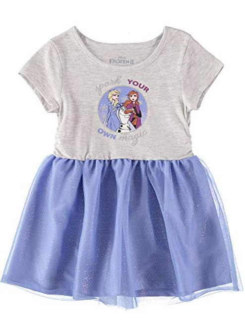 Disney Girls' Frozen Toddler Princess Elsa Short Sleeves Mesh Tutu Dress, White/Navy/Grey, 6X Disney Girls' Frozen Toddler Princess Elsa Short Sleeves Mesh Tutu Dress, White/Navy/Grey, 6X