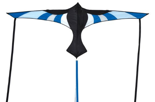 In the Breeze Cool Bird Wings Kite