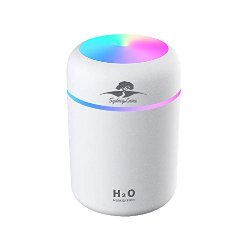 Colorful Cool Mini Humidifier, USB Personal Desktop Humidifier for Car, Office Room, Bedroom,etc. Auto Shut-Off, 2 Mist Modes, Super Quiet. White