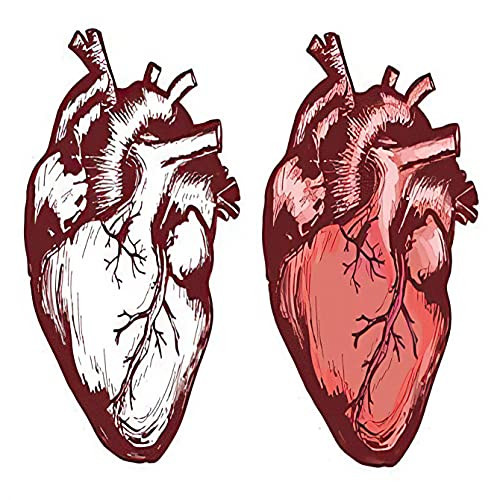 Tattoo design 6 Sheets Temporary Tattoos Human Heart Anatomical Temporary tattoo Neck Arm Chest for Women Men Adults 3.7 X 3.7 Inch