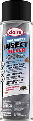 Bug Buster Insect Killer, 20 oz. can, 1 Count