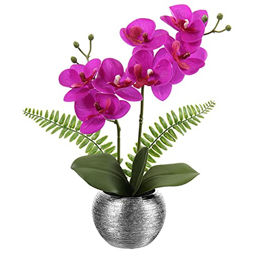 Artificial Orchids Flowers Small Faux Orchid Plant Arrangements in Silver Ceramic Pot Silk Fake Phalaenopsis Flowers for Home Office Table Centerpiece Wedding Party Decor Artificial Orchids Flowers Small Faux Orchid Plant Arrangements in Silver Ceramic Pot Silk Fake Phalaenopsis Flowers for Home Office Table Centerpiece Wedding Party Decor