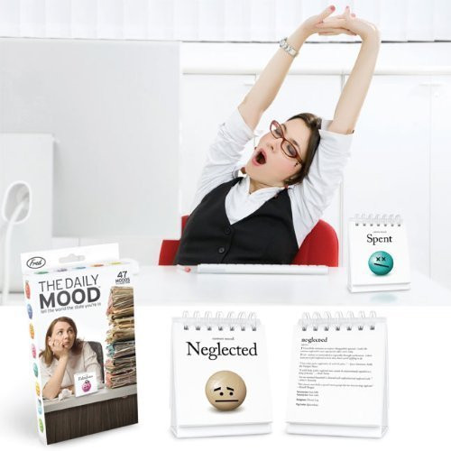 Fred and Friends the Daily Mood Flip Office Chart 47 Emotions , Set of 2