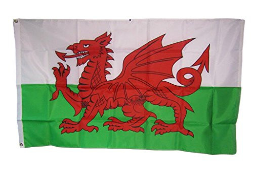 AES 3x5 Wales Welsh Dragon UK 200D Nylon Flag 3'x5' House Banner Grommets with Clips House Banner Double Stitched Fade Resistant Premium Quality