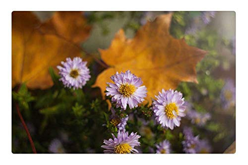 LESGAULEST Doormat Floor Rug/Mat -23.6 x 15.7 inch- - Nature Flower Plant Summer Sheet LESGAULEST Doormat Floor Rug/Mat -23.6 x 15.7 inch- - Nature Flower Plant Summer Sheet