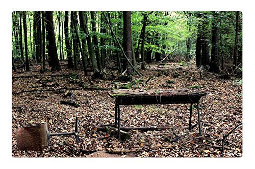LESGAULEST Doormat Floor Rug/Mat -23.6 x 15.7 inch- - Forest Work Center Desk Office Chair Forest LESGAULEST Doormat Floor Rug/Mat -23.6 x 15.7 inch- - Forest Work Center Desk Office Chair Forest