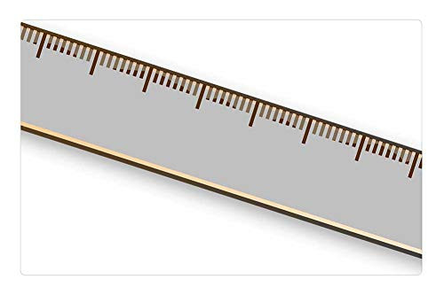 LESGAULEST Doormat Floor Rug/Mat -23.6 x 15.7 inch- - Ruler Measure Lenght Maths Centimeter Scale Grey