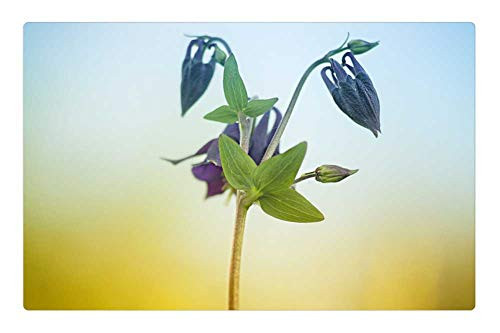 LESGAULEST Doormat Floor Rug/Mat -23.6 x 15.7 inch- - Nature Shoots Plant Sheet Flower Grass Garden LESGAULEST Doormat Floor Rug/Mat -23.6 x 15.7 inch- - Nature Shoots Plant Sheet Flower Grass Garden