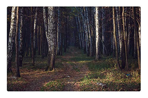 LESGAULEST Doormat Floor Rug/Mat -23.6 x 15.7 inch- - Wood Landscape Tree Autumn Sheet Park Nature
