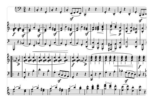 LESGAULEST Doormat Floor Rug/Mat -23.6 x 15.7 inch- - Music Sheet Png Music Notes Variations Theme