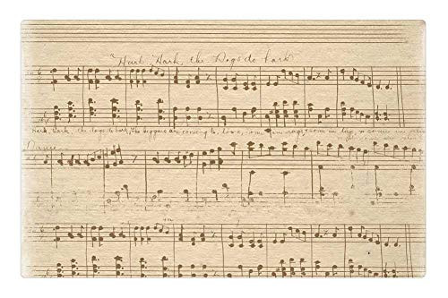 LESGAULEST Doormat Floor Rug/Mat -23.6 x 15.7 inch- - Vintage Beige Music Notes Sheet Music Background