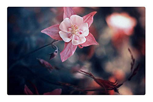 LESGAULEST Doormat Floor Rug/Mat -23.6 x 15.7 inch- - Flower Nature Plant Sheet Season Grass Forest