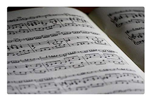 LESGAULEST Doormat Floor Rug/Mat -23.6 x 15.7 inch- - Music Sheet Notes Music Texture Piano Partition 1