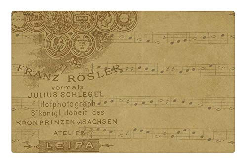 LESGAULEST Doormat Floor Rug/Mat -23.6 x 15.7 inch- - Vintage Sign Natural Music Notes Sheet Music