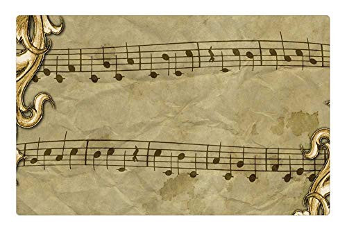 LESGAULEST Doormat Floor Rug/Mat -23.6 x 15.7 inch- - Vintage Background Texture Music Note Sheet Music