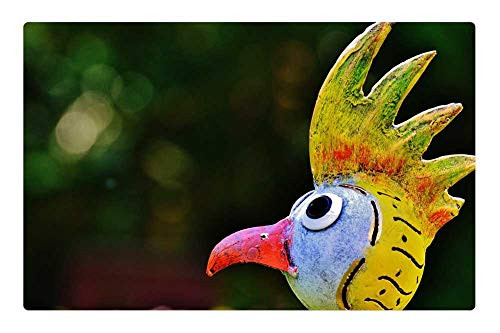 LESGAULEST Doormat Floor Rug/Mat -23.6 x 15.7 inch- - Bird Sheet Deco Decoration Outdoor Artwork Figure