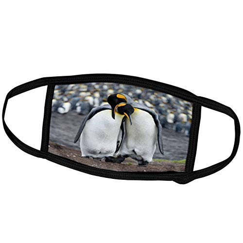 3dRose Danita Delimont - Penguin - King Penguin, Falkland Islands, South Atlantic. Courtship Display. - Face Masks -fm-229137-3- 3dRose Danita Delimont - Penguin - King Penguin, Falkland Islands, South Atlantic. Courtship Display. - Face Masks -fm-229137-3-