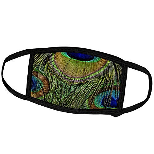 3dRose Danita Delimont - Feathers - Male Peacock Display Tail Feathers 01 - Face Masks -fm-250297-3-