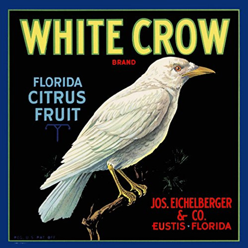 A SLICE IN TIME Eustis, Florida - Vintage White Crow Orange Citrus Fruit Crate Box Label Travel Advertising Art Print. Label Print Measures 10 x 10 inches
