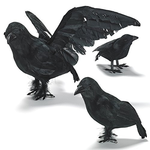 Prextex Halloween Decoration Realistic Looking 3 PC Birds Black Feathered Crows Halloween Prop Décor