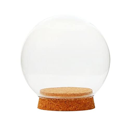 Fevas Ball Shaped Clear Glass DIY Micro Landscape Vase Glass Globe Display Dome Cover Succulent Terrarium Bottle W/Wood Cork - -Color: Dia 15cm-