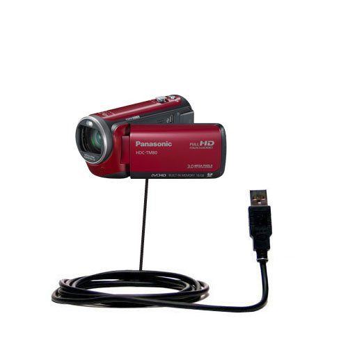 Gomadic Classic Straight USB Cable for The Panasonic HDC-TM80 Camcorder with Power Hot Sync and Charge Capabilities - Uses TipExchange Technology