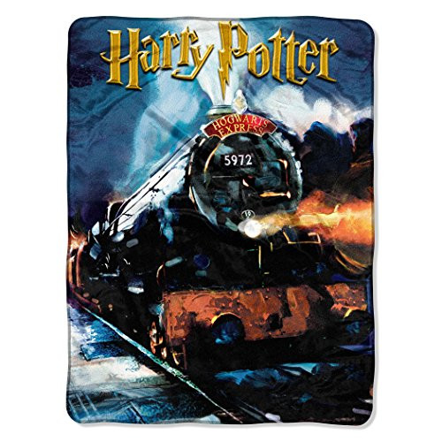 Harry Potter Warner Brothers, Hogwarts 46 60-inch Micro Raschel Throw  by The Northwest Company