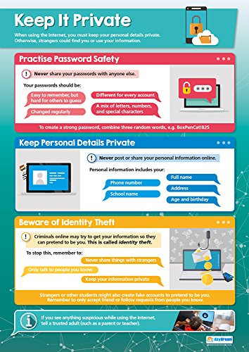 Keep It Private | Online Safety Posters | Laminated Gloss Paper Measuring 33 x 23.5 | Internet Safety Class Posters | Education Charts by Daydream Education