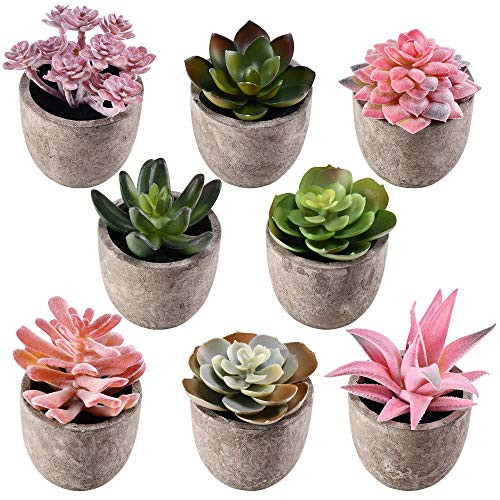 Airbin Artificial Succulent Plants Fake Decorations 8 Mini Realistic Fake Plants with Plastic Pots Faux Plants for Desk Decoration Realistic Fake Succulent Plant for Home Decor Indoor
