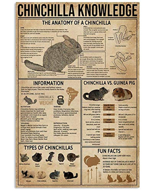 Nutasel Vintage Metal Signs Funny Totoro Totoro Knowledge Metal Sign, Retro Wall Art, Home Decoration Sign Anniversary Birthday Vintage Metal Signs for Bathroom