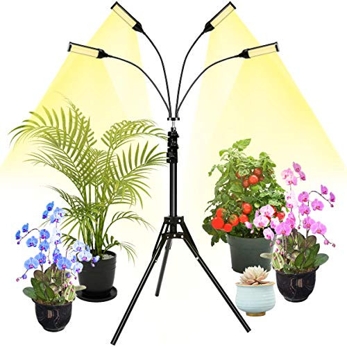 Plant Grow Light with Stand, ACCEDE LED Floor Grow Lights for Indoor Plants, Full Spectrum, 4-Head, 96W Grow Lamp with Timer for Seedling, Auto ON/Off, Adjustable Brightness  and  Stand  and  Gooseneck