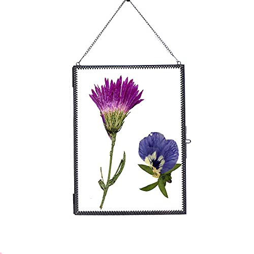 Pressed Flower Glass Frame, Brass Photo Frame for DIY Dried Flowers Plant Wall Hanging Decor Display Specimen Gold Vintage Frame Geometric Ornament 8x12 Inches