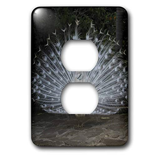 3dRose lsp-21078-6 Albino Male Peacock 2 Plug Outlet Cover