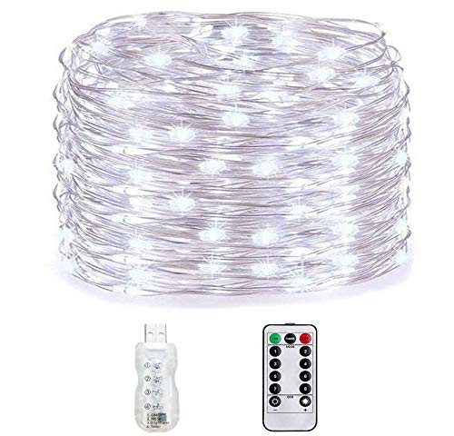 USB Plug in Fairy Lights with Remote Control Timer, Twinkling Frequency Adjustable Copper Wire String Lights, 8 Modes 33Ft 100 LED USB String Lights for Christmas Bedroom Indoor Decoration, White