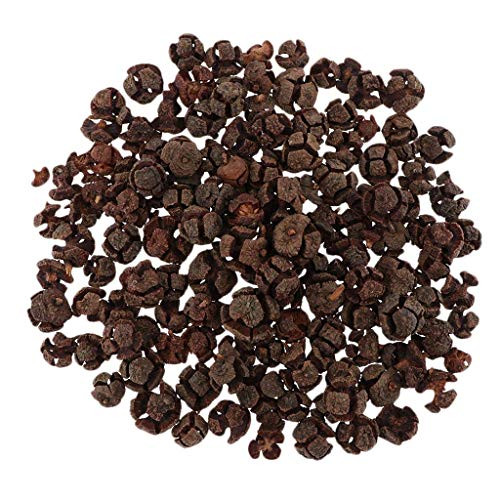 Backbayia 1kg Natural Dried Pine Cones Vase Filler Fall Winter Holiday Home Decor Christmas Ornament