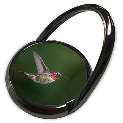 3dRose USA, WA. Male Annas Hummingbird, displays its Gorget While. - Phone Rings -phr-332615-1-