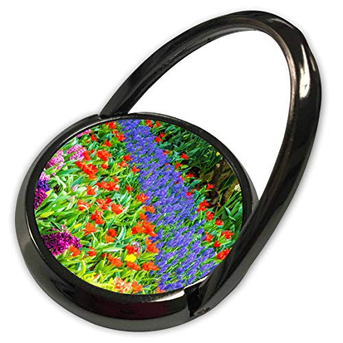 3dRose Danita Delimont - Flowers - Display Garden in Full Bloom - Phone Rings -phr-332995-1-