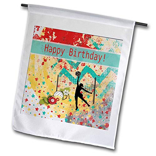 3dRose Beverly Turner Sports Design - Volleyball Girl, Net, Ball on Abstract Design, Colorful, Birthday - 12 x 18 inch Garden Flag -fl-313355-1-