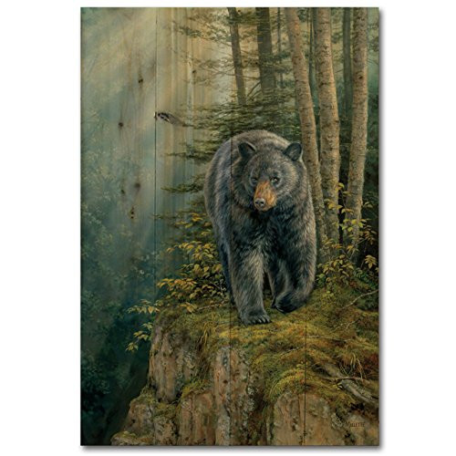 WGI Gallery WA-ROC-812 Rocky Outcropping Wall Art