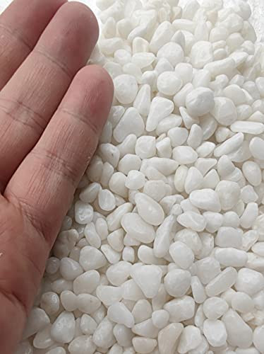 Voulosimi 12 Pounds Natural Decorative Polished White Bean Pebbles Gravel Small River Rock Stones for Plant Aquariums, Landscaping, Fillers