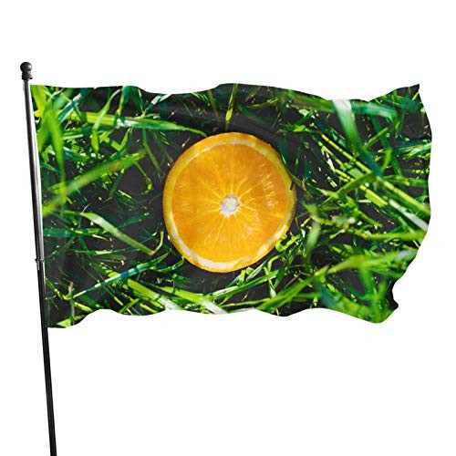 LJz Orange in The Outdoor Activities and Indoor Display of Decorative Flags 3x5 Feet Flag in Bright Colors