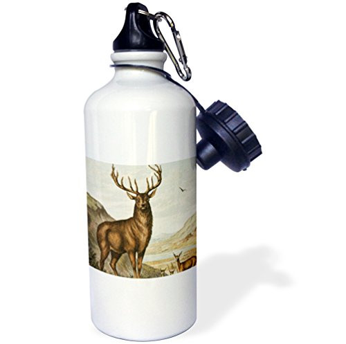 3dRose wb_124615_1 Peace Sign Made Up of Blue, Pink, Purple and Green Flowers Sports Water Bottle, 21 oz, White