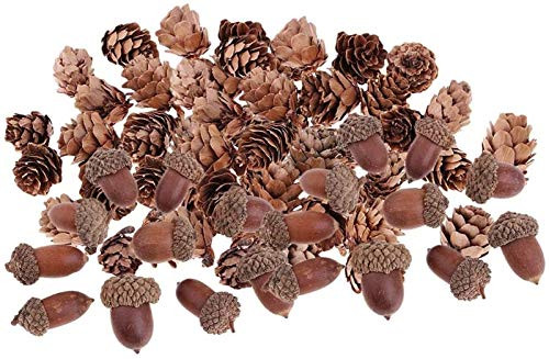 Plztou 40 Pcs Natural Decorative Pine Cones Dried Acorn Fall Winter Holiday Home Decor Vase Bowl Filler Displays Crafts